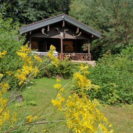 Blockhaus Am Twistesee Mit 3 Schlafzimmern Bad Arolsen Exteriör bild
