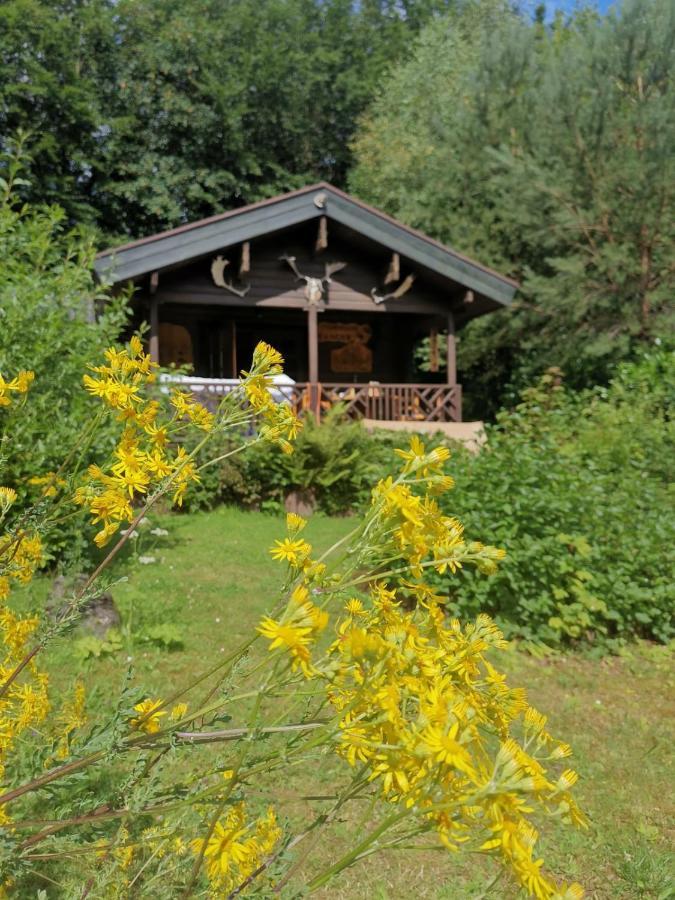 Blockhaus Am Twistesee Mit 3 Schlafzimmern Bad Arolsen Exteriör bild