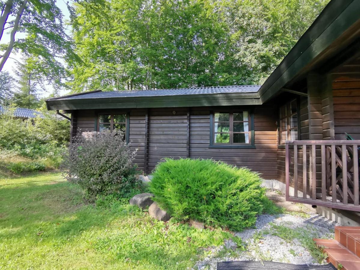 Blockhaus Am Twistesee Mit 3 Schlafzimmern Bad Arolsen Exteriör bild